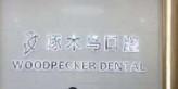啄木鸟牙科(文化路店) 