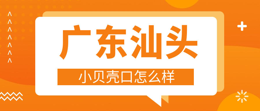 广东汕头小贝壳口