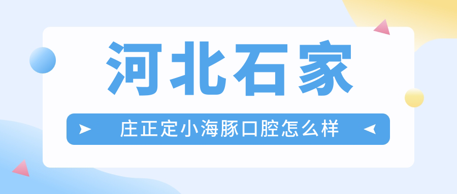 河北石家庄正定小海豚口腔