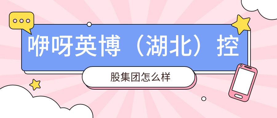 咿呀英博（湖北）控股集团