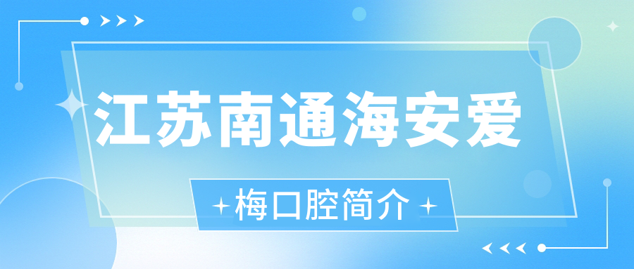 江苏南通海安爱梅口腔