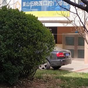 莱山伍晓莲口腔